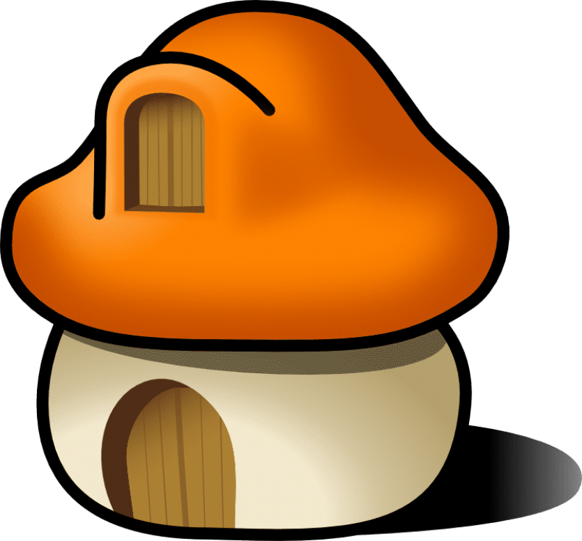 The home button